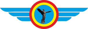 LIGA AERIANA ROMANA